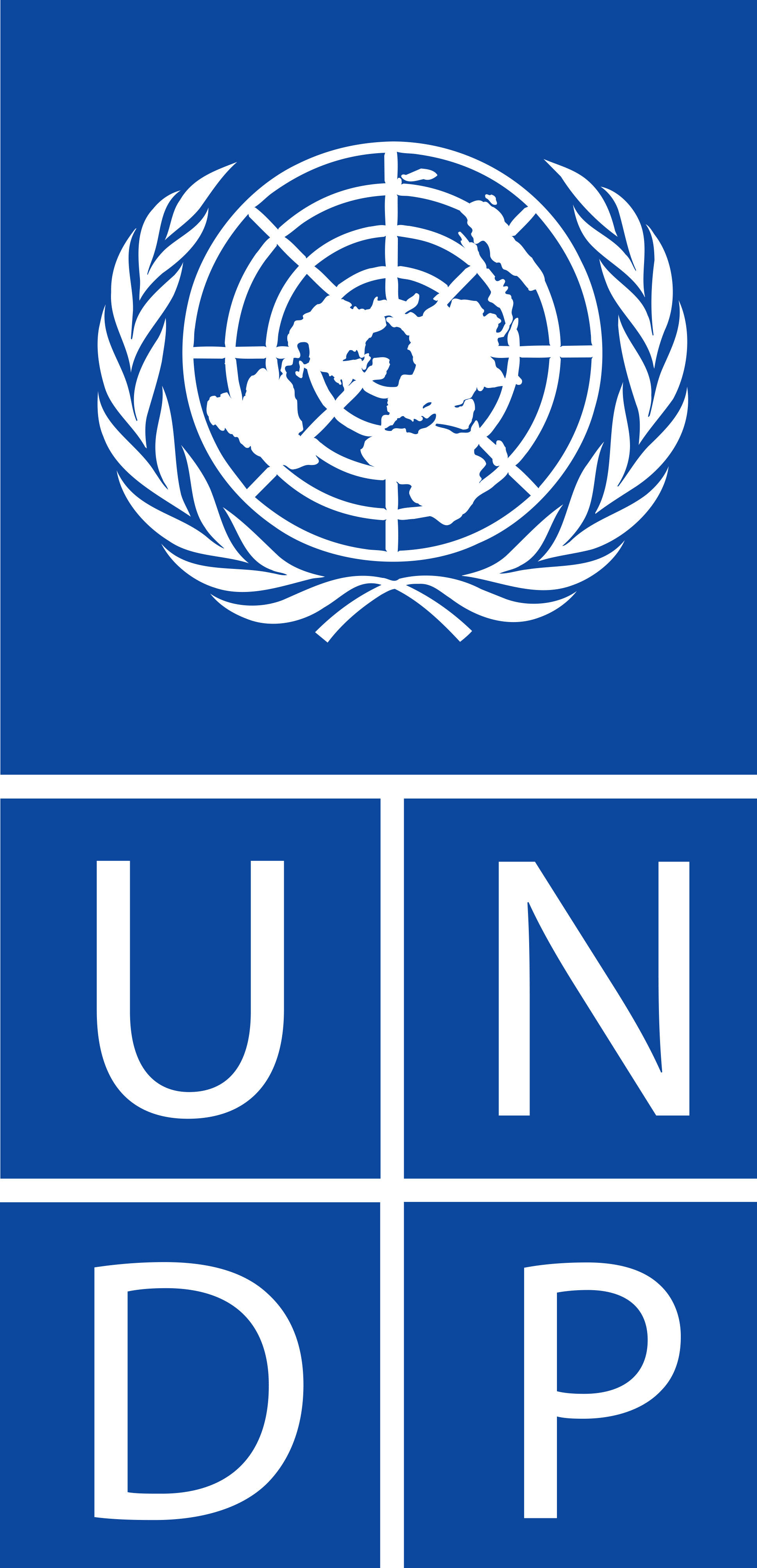 UNDP (United Nations Development Programme) logo